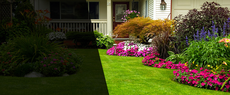Daytona Beach Landscapers