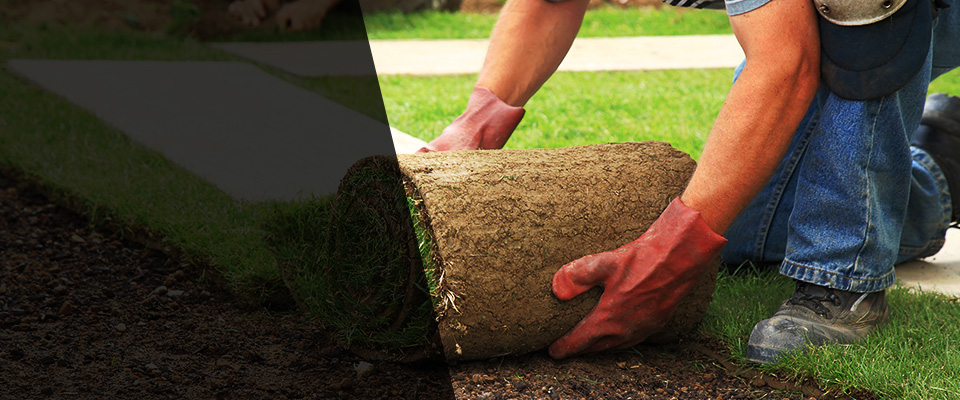 Daytona Beach Landscapers